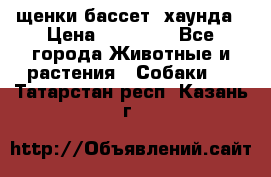 щенки бассет- хаунда › Цена ­ 20 000 - Все города Животные и растения » Собаки   . Татарстан респ.,Казань г.